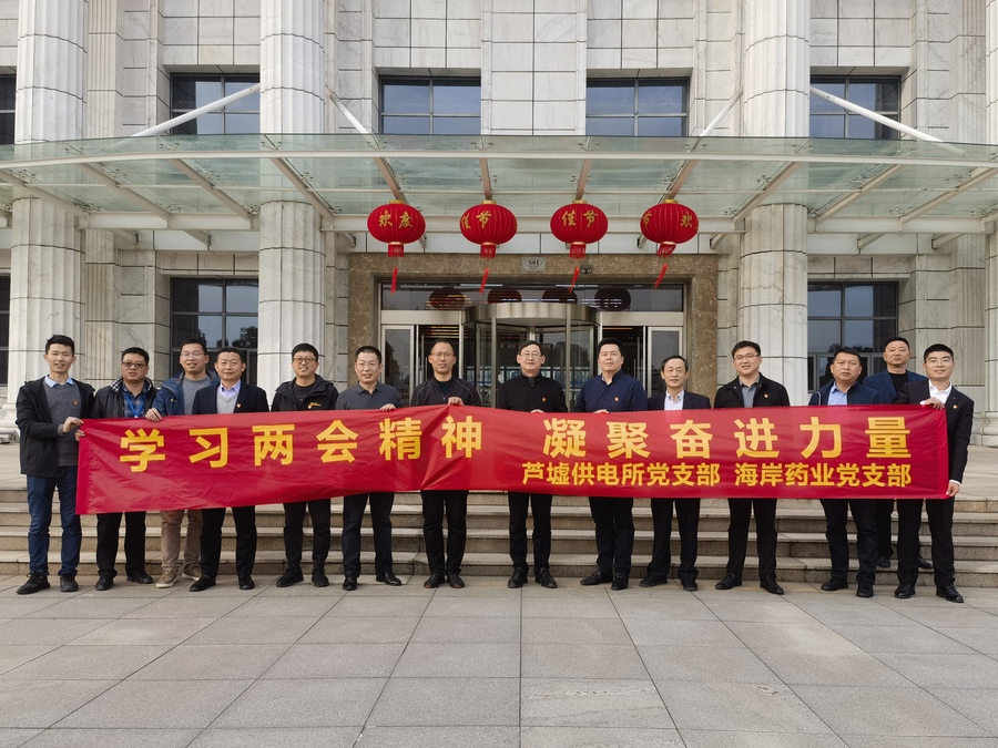 学习两会精神 凝聚奋进力量 ——芦墟供电所党支部与江苏海岸药业党支部开展党建共建活动